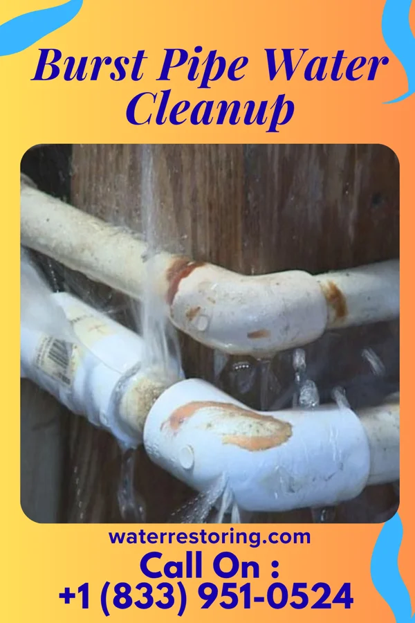 Burst Pipe Water Cleanup in Garrison, IA