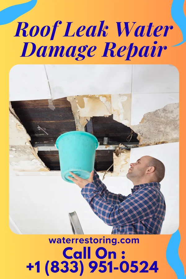 Roof Leak Water Damage Repair in Garrison, IA