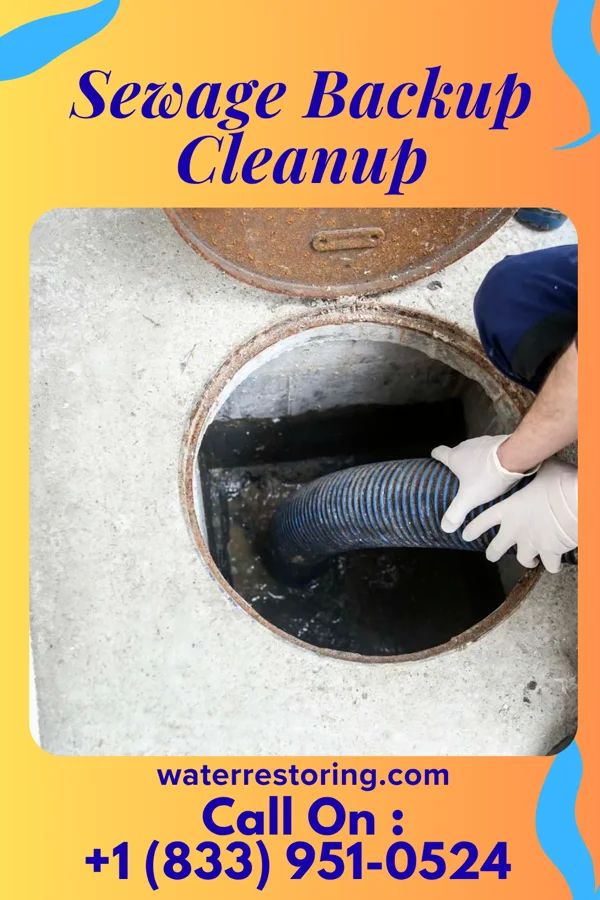 Sewage Backup Cleanup in Garrison, IA